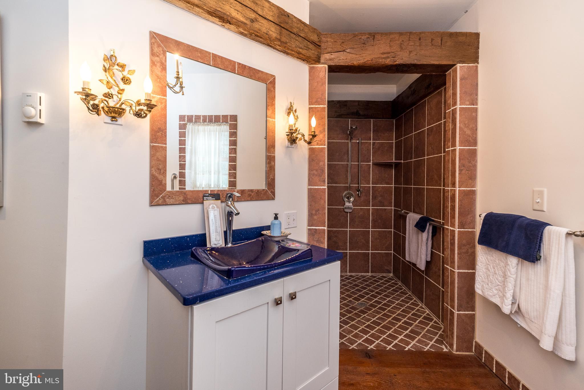 23 Lily Valley Road Erwinna, PA 18920 - Photo 71 of 81 a bathroom with a sink a toilet and mirror