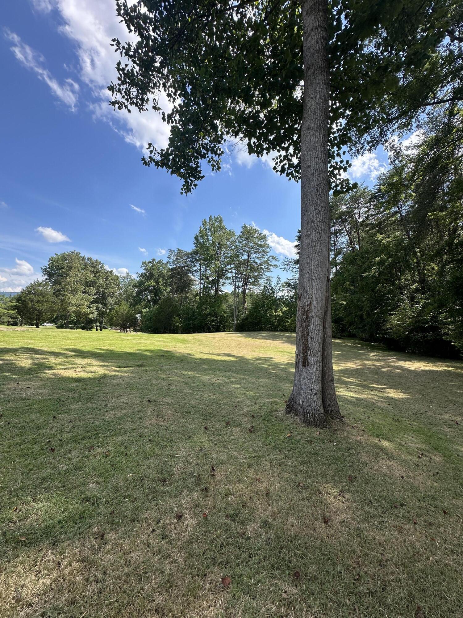 81 Lower Brow Road Dunlap, TN 37327 - Photo 13 of 22 IMG_4085
