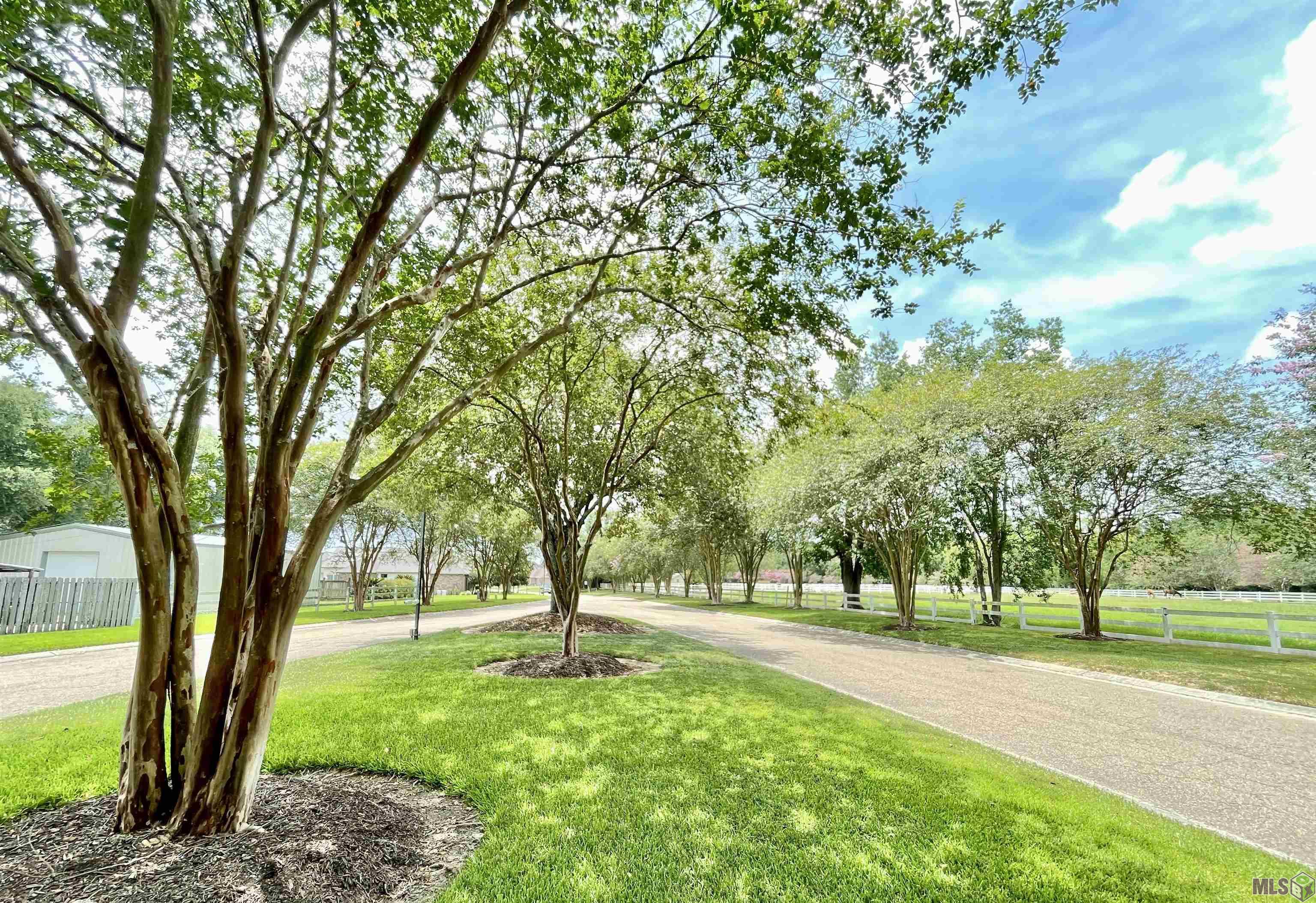 16335 Winding Ridge Avenue Prairieville, LA 70769 - Photo 32 of 35 Entrance into Spanish Oaks