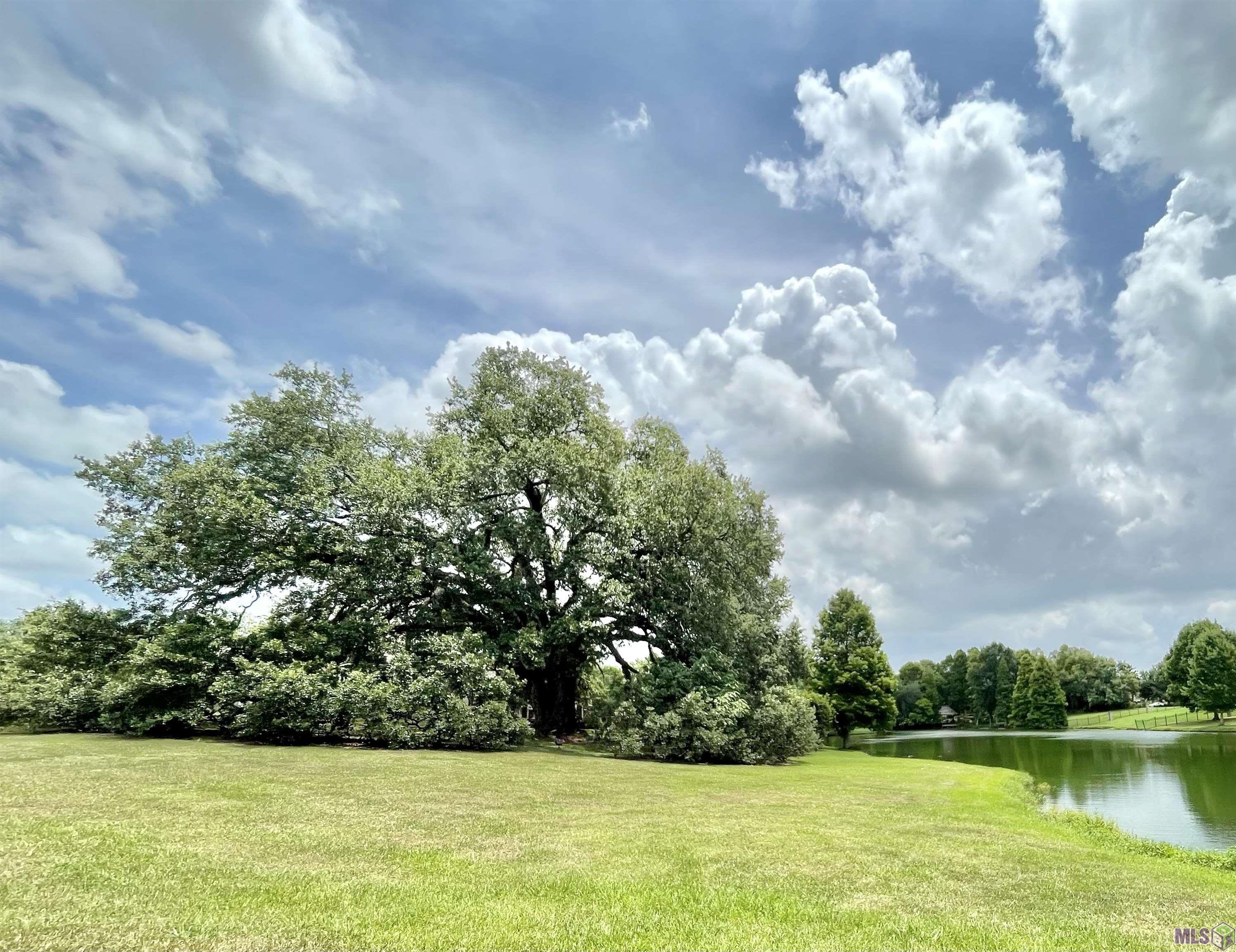 16335 Winding Ridge Avenue Prairieville, LA 70769 - Photo 33 of 35 Notable Neighborhood Oak