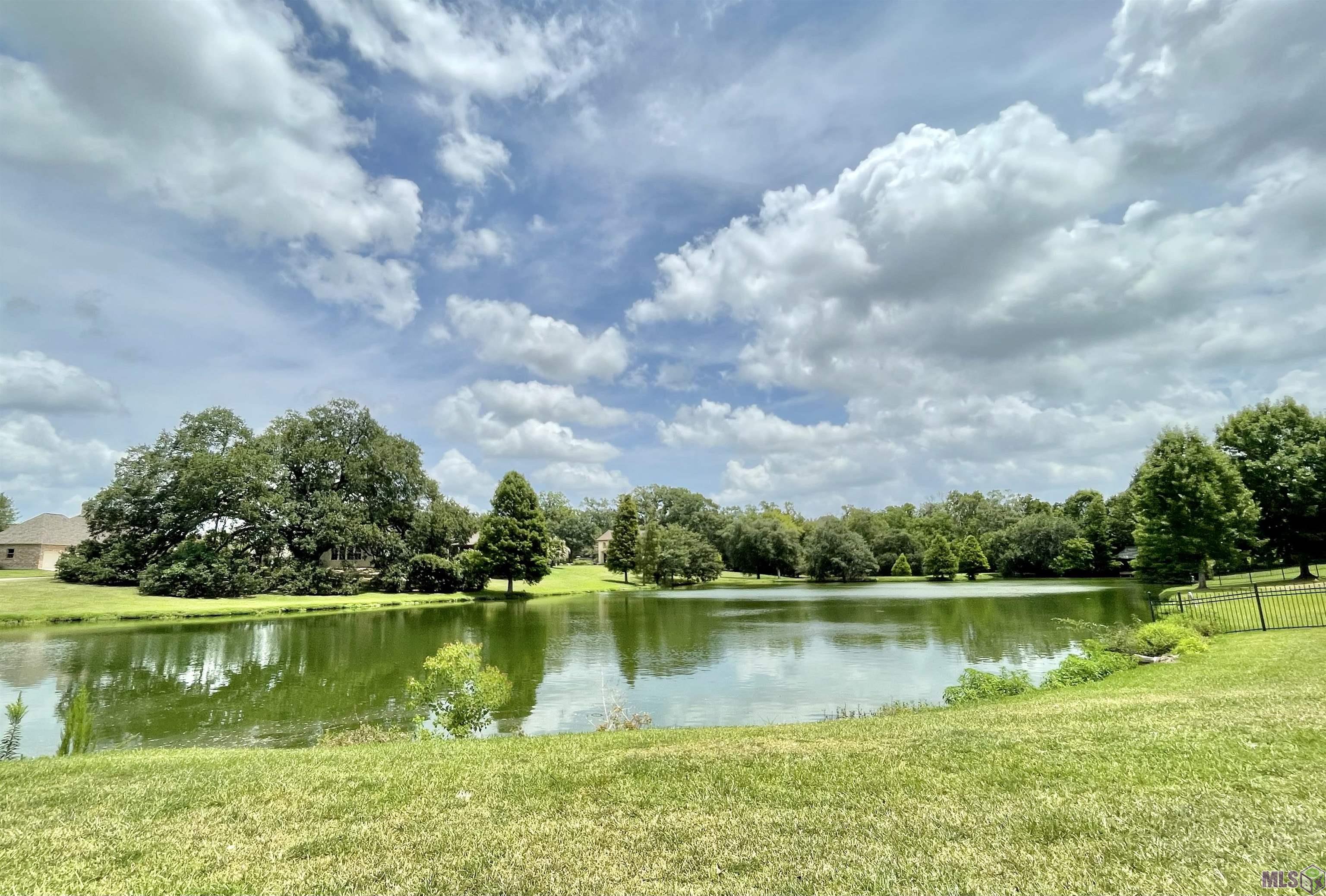 16335 Winding Ridge Avenue Prairieville, LA 70769 - Photo 34 of 35 Stocked Pond