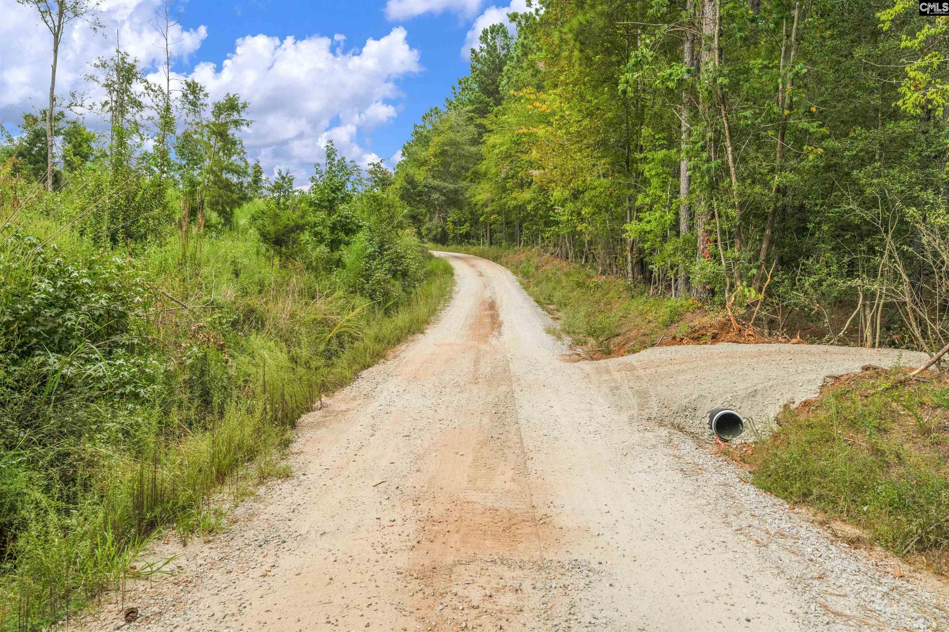 0 Penner Road, Unit 10 Jenkinsville, SC 29065 - Photo 28 of 43