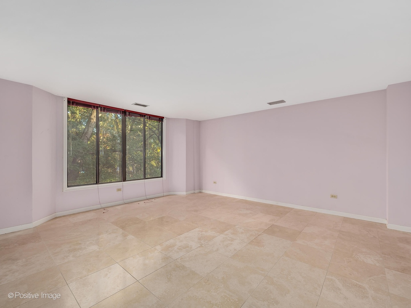 1401 Burr Oak Road, Unit 202B Hinsdale, IL 60521 - Photo 25 of 40 a view of an empty room with a window