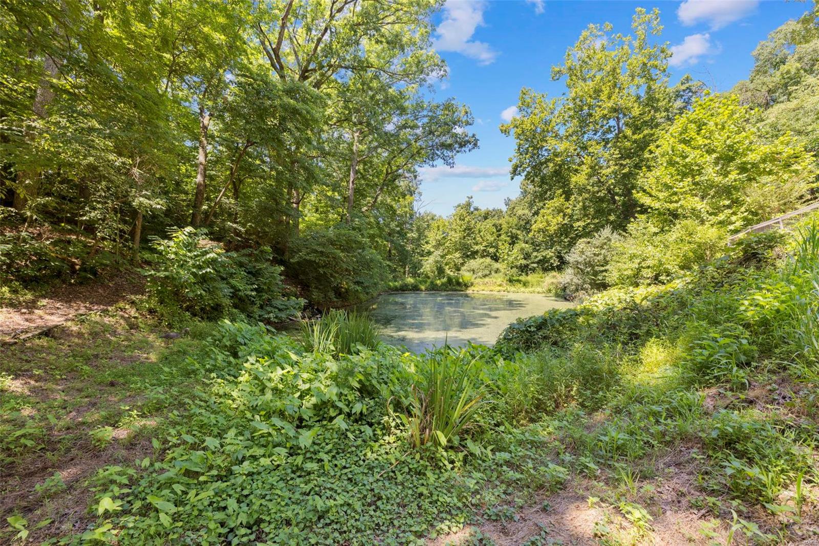 1245 Walnut Hill Farm Road Chesterfield, MO 63005 - Photo 57 of 57 Gallery Image 57