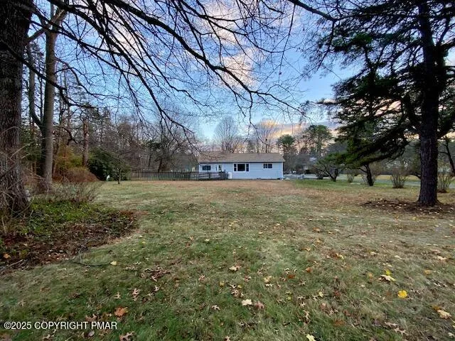 a view of a yard with a tree