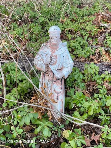 a view of a tree in a garden