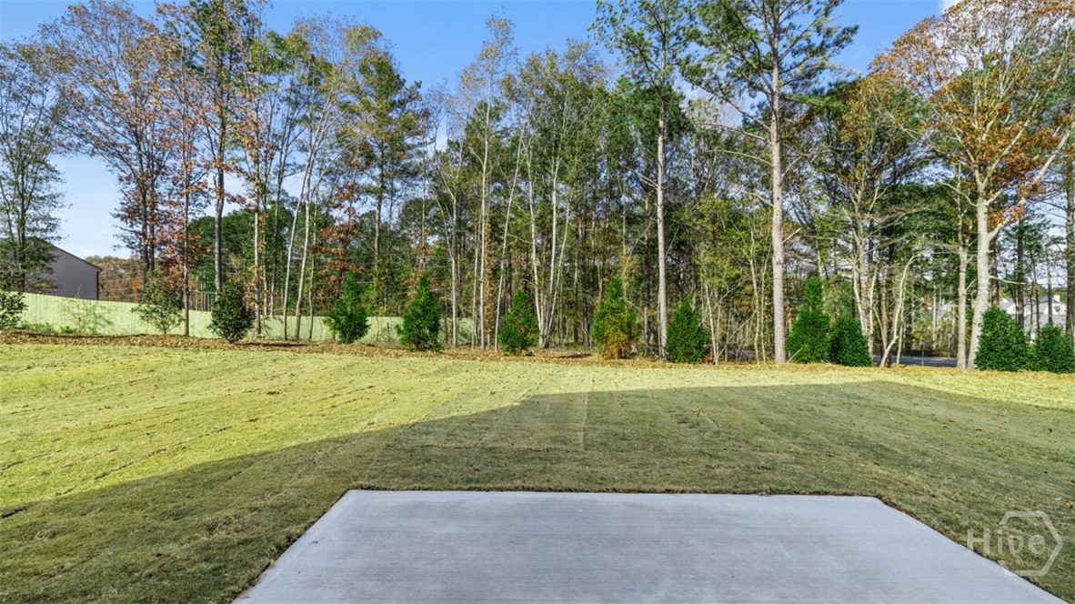 86 Holland Cove Winder, GA 30680 - Photo 27 of 52