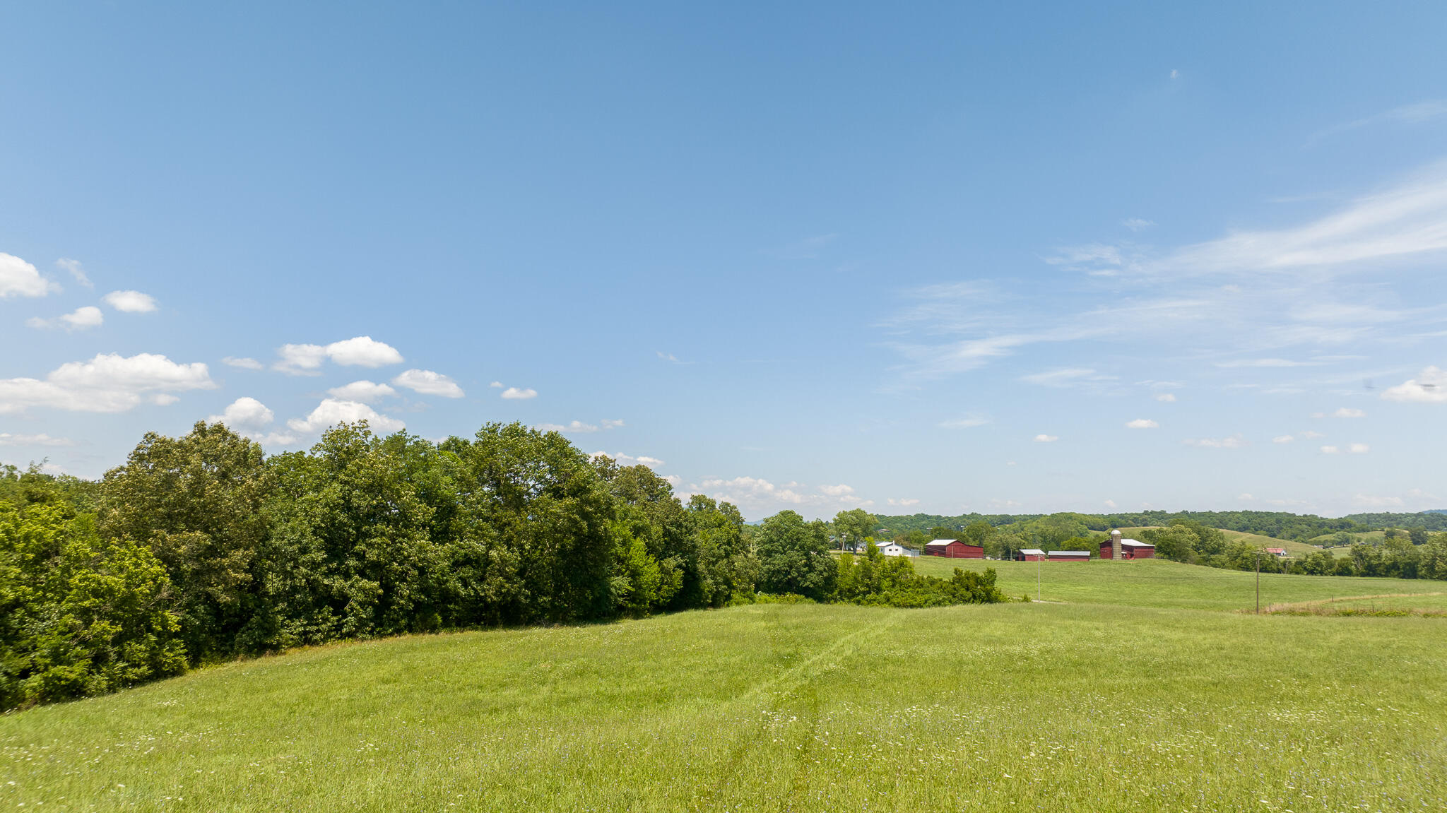 0 John Graham Road Greeneville, TN 37745 - Photo 8 of 15 DJI_0283-HDR