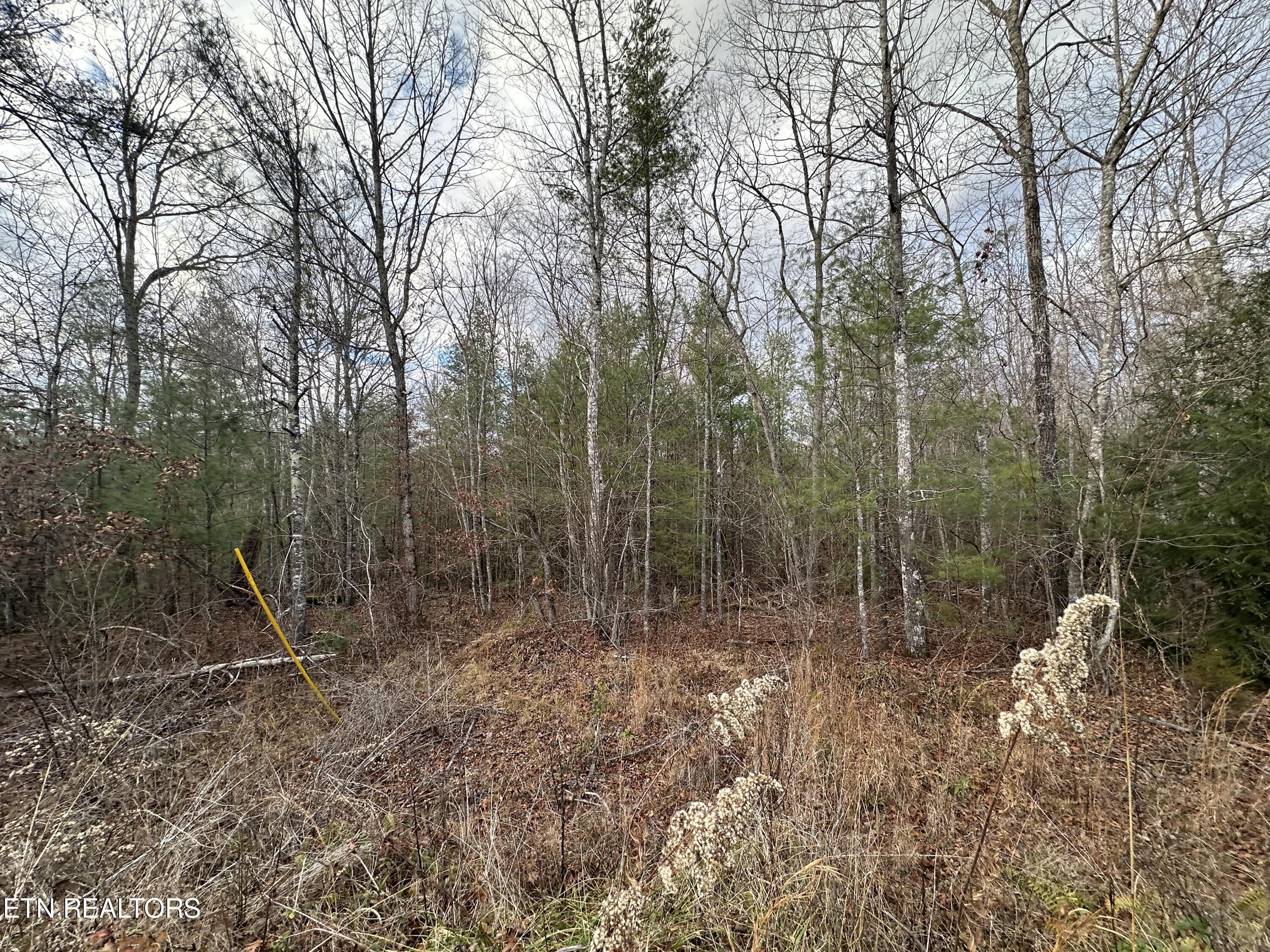 FFCAF751-CAE7-4FAF-AFC2-8851FC00D5D5