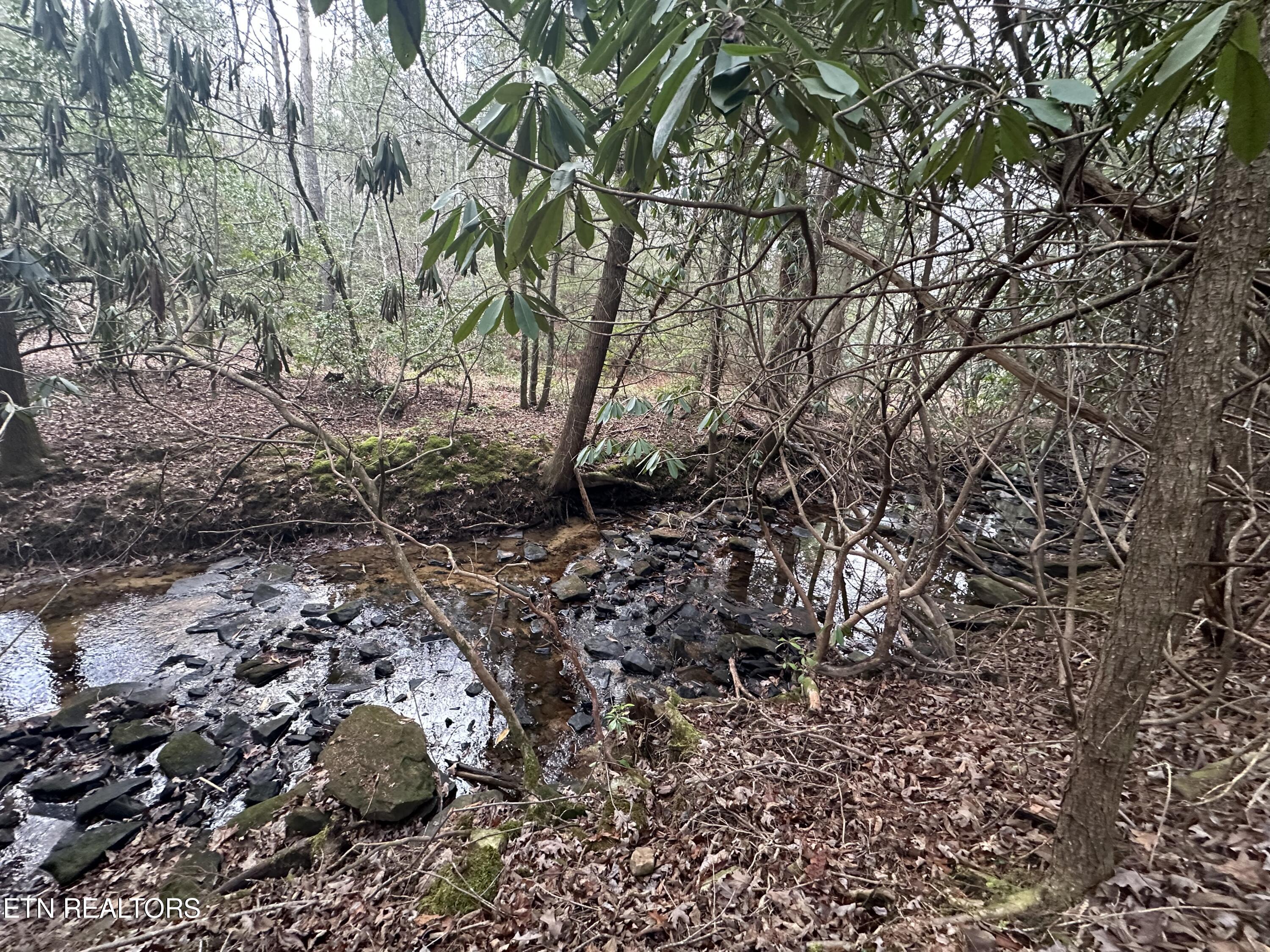 Rankin Road Deer Lodge, TN 37726 - Photo 15 of 15 8CC57666-56B1-4458-B5D5-36E78214AFD9