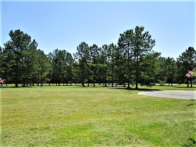 28 Peter Collinson Road Santee, SC 29142 - Photo 2 of 25 View From Back of Home