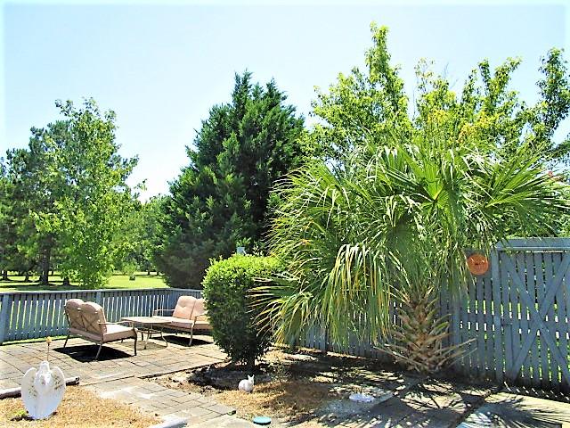 28 Peter Collinson Road Santee, SC 29142 - Photo 4 of 25 Tropical Garden in Back