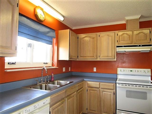 28 Peter Collinson Road Santee, SC 29142 - Photo 9 of 25 Kitchen