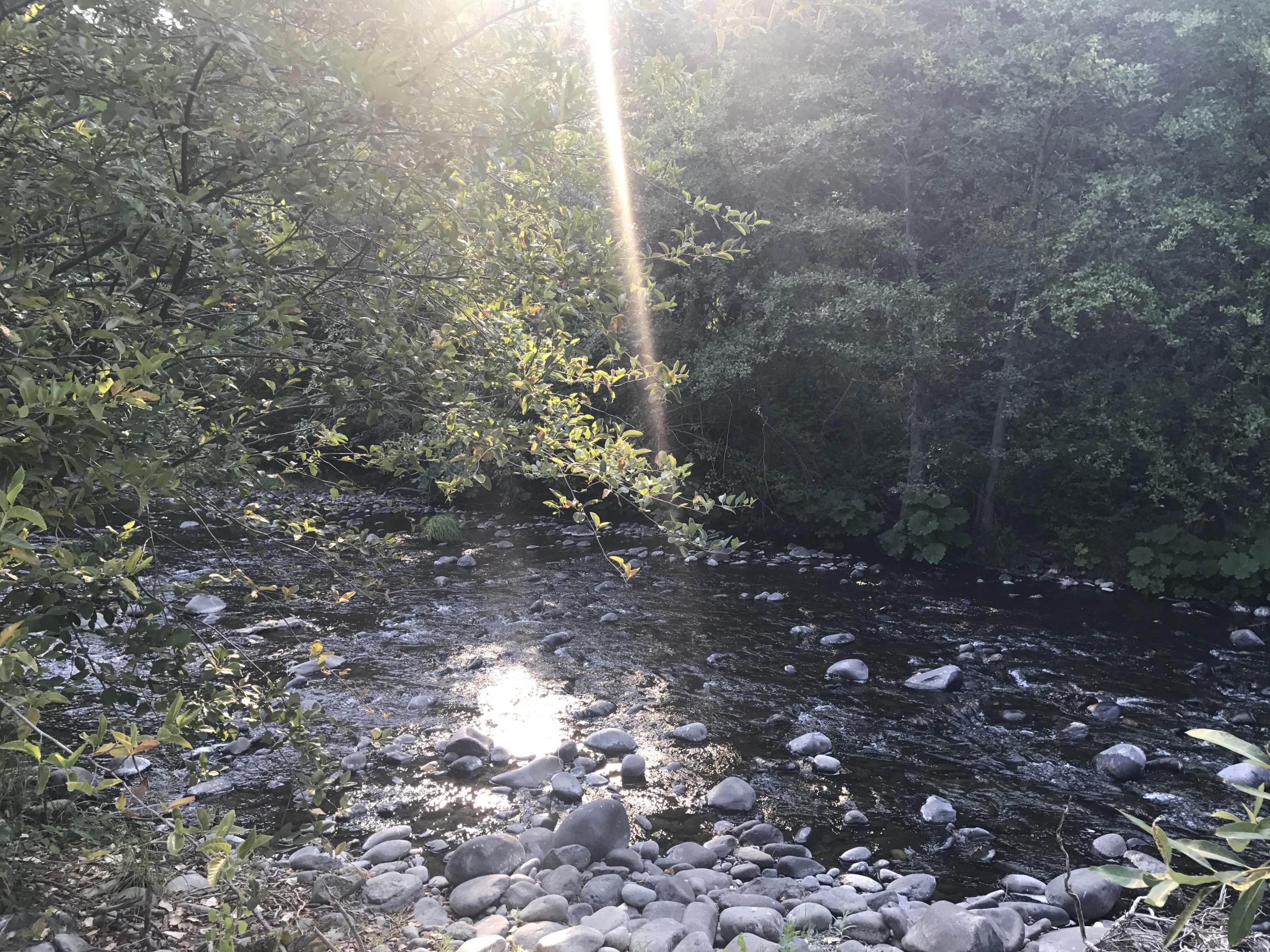 0 Donkey Mine Road Oak Run, CA 96069 - Photo 5 of 12 131 Acres Creek at bottom