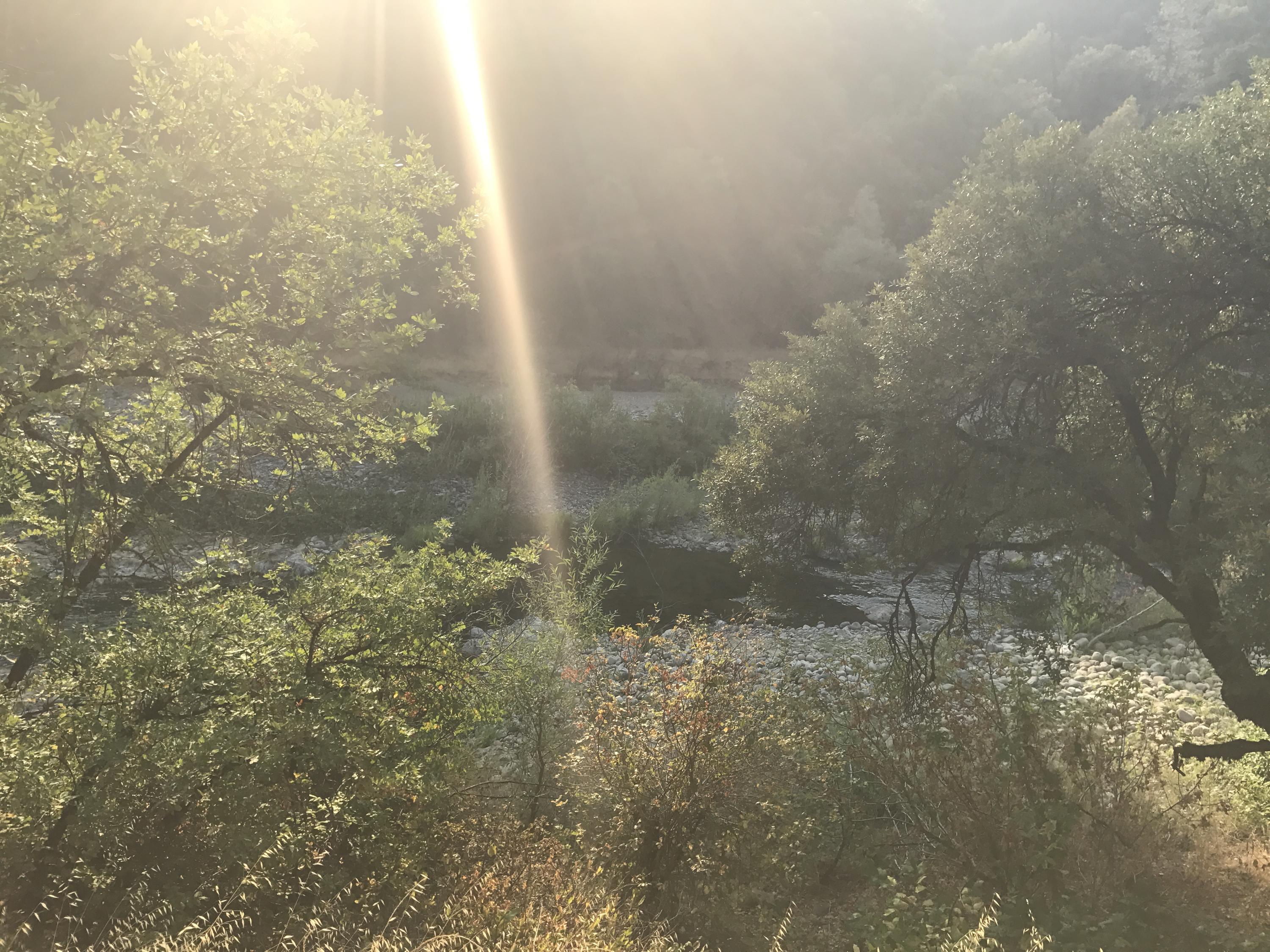 0 Donkey Mine Road Oak Run, CA 96069 - Photo 6 of 12 131 Acres with creek at bottom ray of su