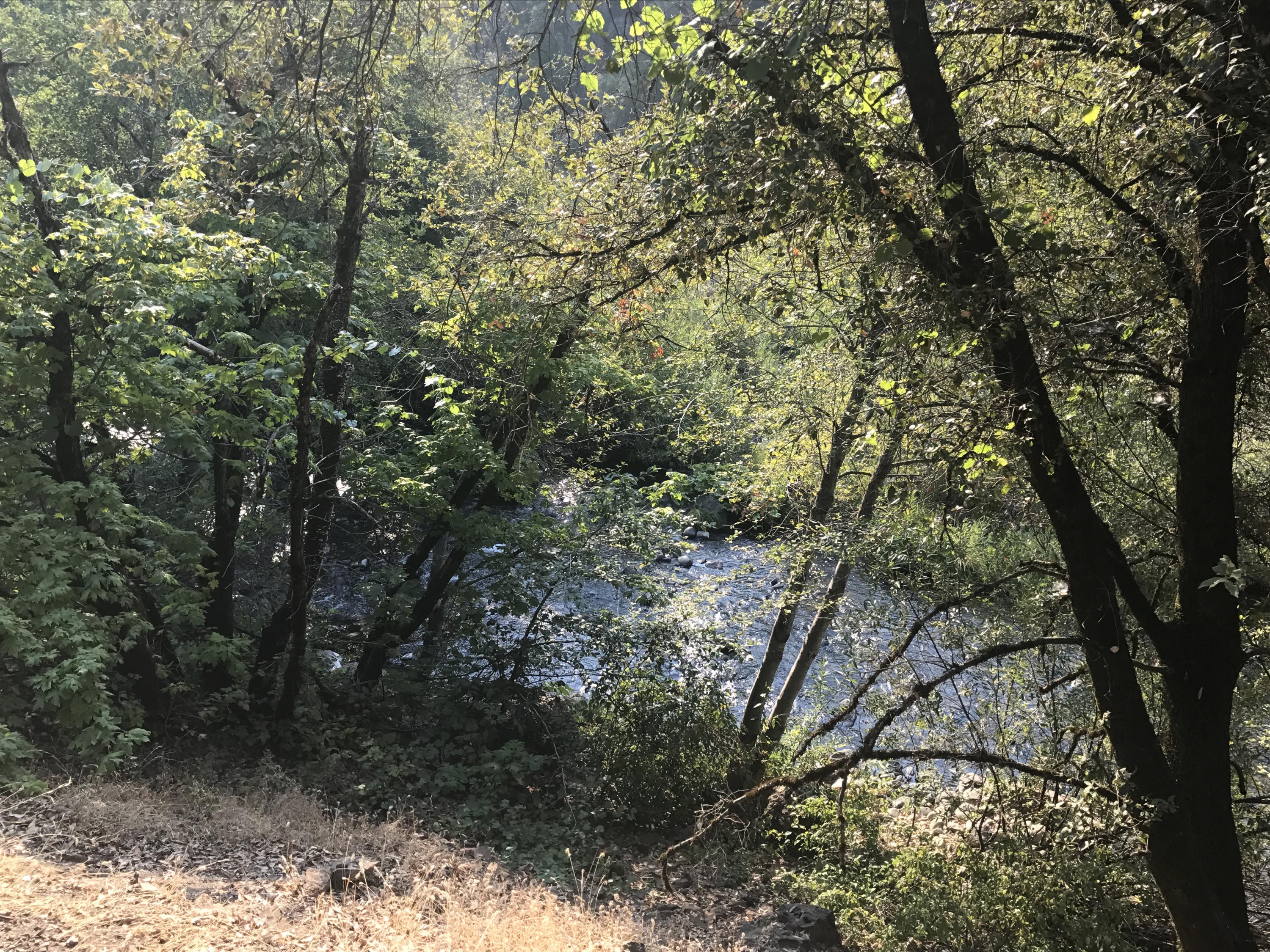 0 Donkey Mine Road Oak Run, CA 96069 - Photo 7 of 12 131 Acres with creek at bottom