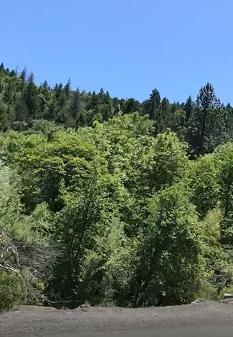 0 Donkey Mine Road Oak Run, CA 96069 - Photo 10 of 12 131_Acres_from_bottom_on_hwy