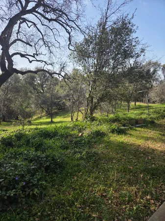 a backyard of a house with a yard and large trees