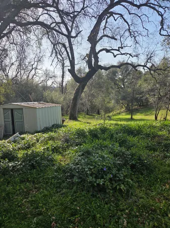 a backyard of a house with lots of green space and fountain