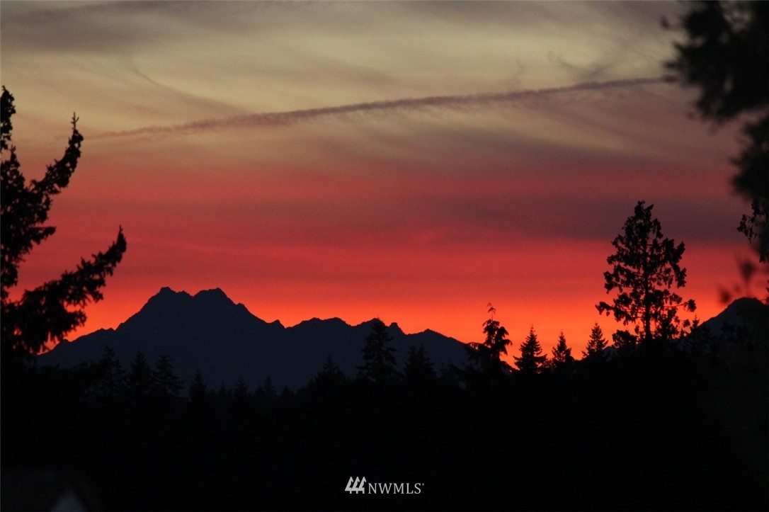 20205 103rd Place Northeast Bothell, WA 98011 - Photo 25 of 25 Gallery Image 25