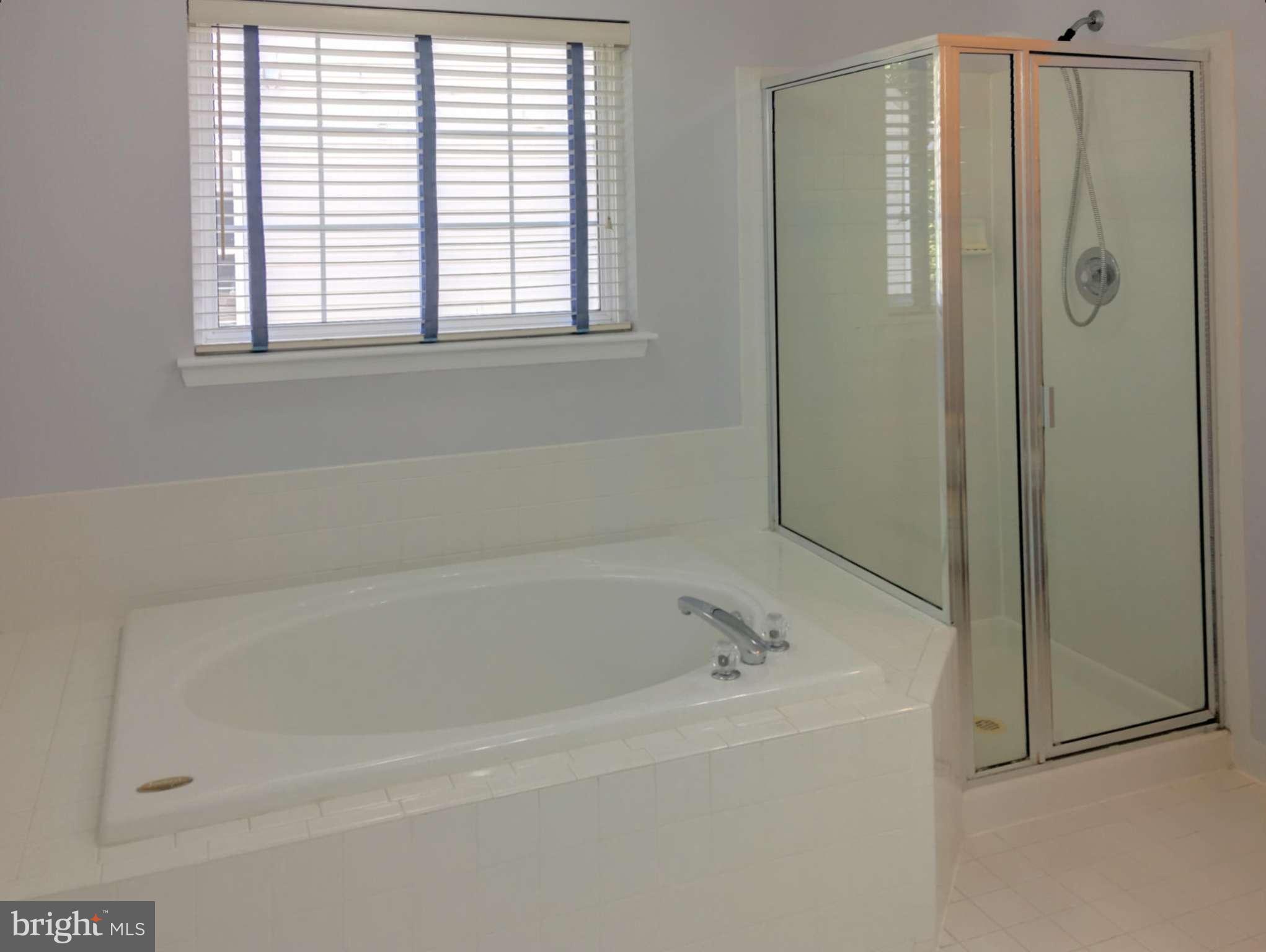 12913 Summit Ridge Terrace Germantown, MD 20874 - Photo 22 of 30 Bath (Master)