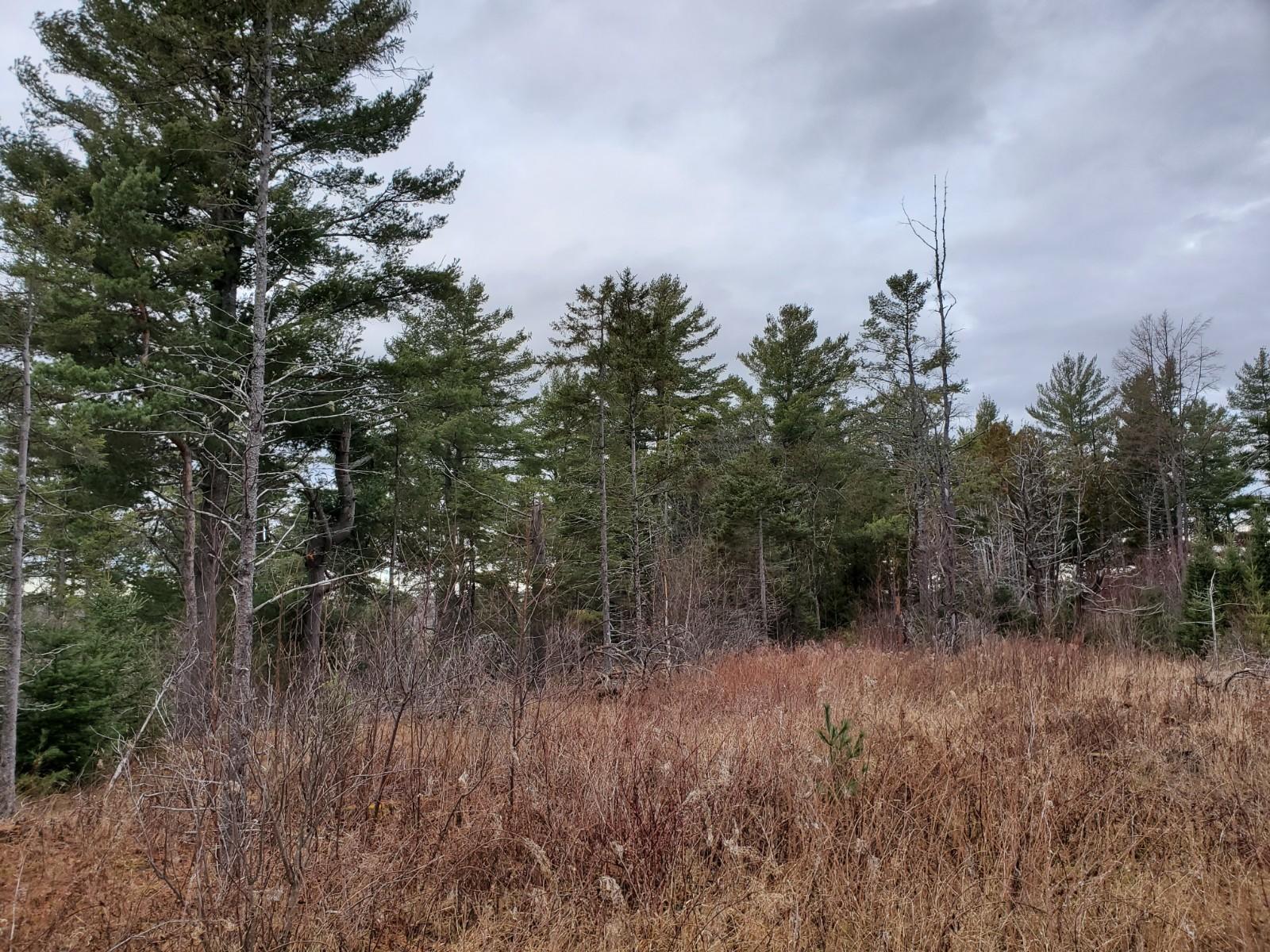 101 Allen Road Presque Isle, ME 04769 - Photo 6 of 10 20201202_092807