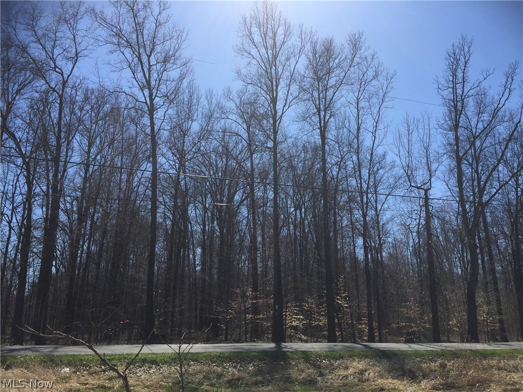 0 Blott Road North Jackson, OH 44451 - Photo 2 of 3 Gallery Image 2