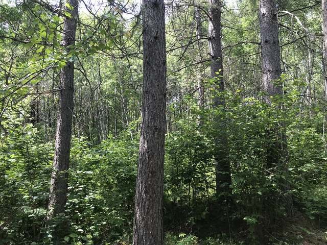 160-ac Scotchman Lake Road Minocqua, WI 54548 - Photo 11 of 30 Gallery Image 11