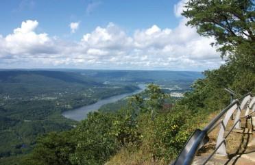 0 East Lakeshore Drive Rome, GA 30161 - Photo 8 of 12 a view of a yard with an outdoor space