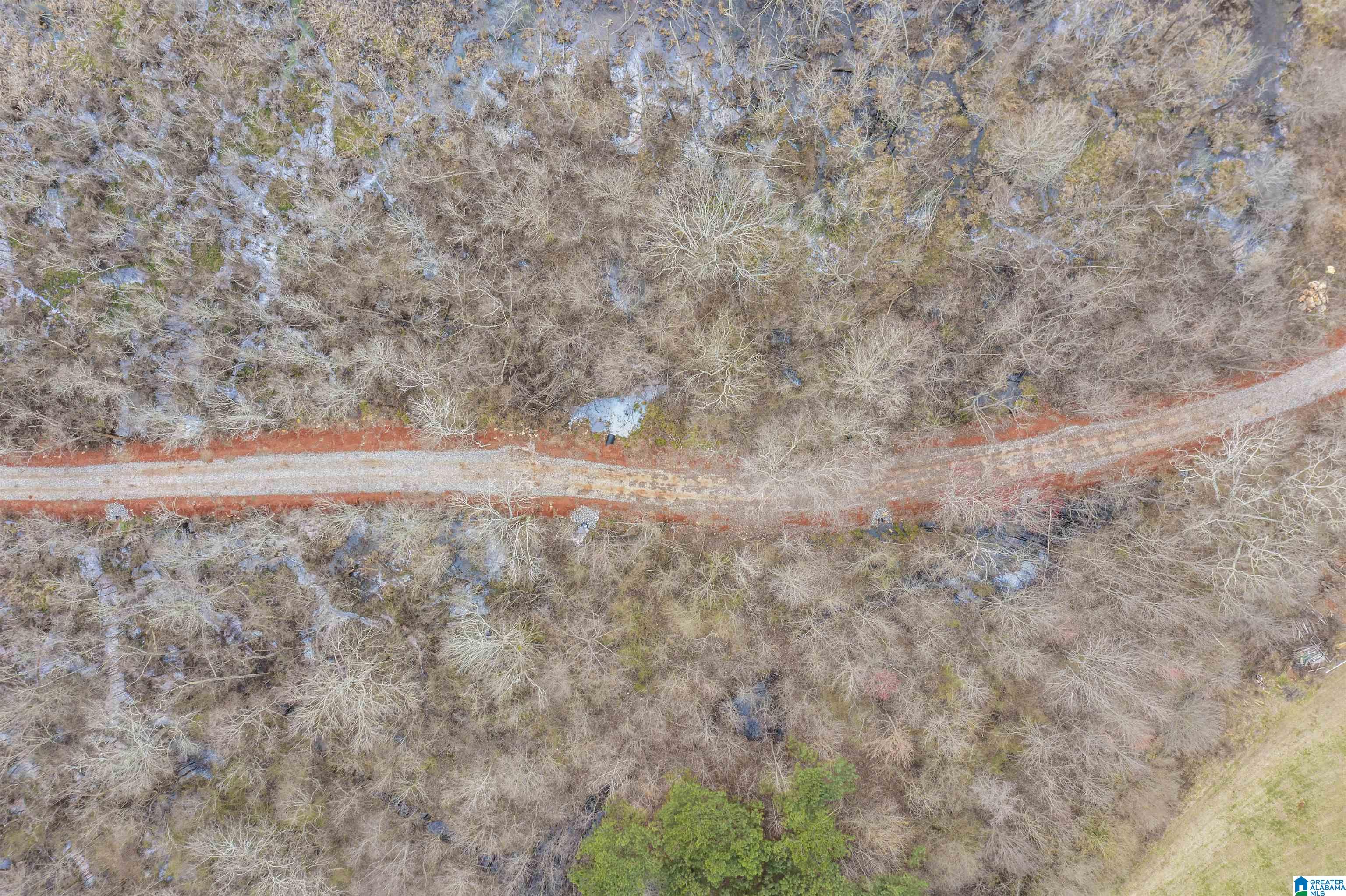 1619 Old Downing Ml Road, Unit 40 03 ACRES Anniston, AL 36207 - Photo 18 of 29