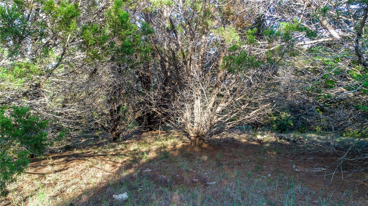 21004 Ranger Trail Leander, TX 78645 - Photo 1 of 1 Gallery Image 1