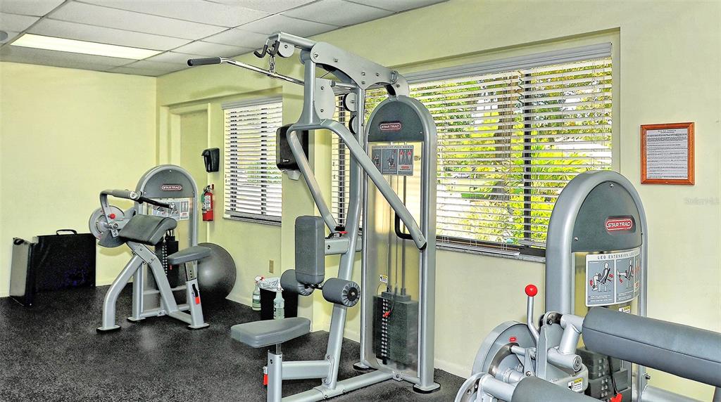 712 White Pine Tree Road, Unit 77 Venice, FL 34285 - Photo 40 of 98 Gallery Image 40