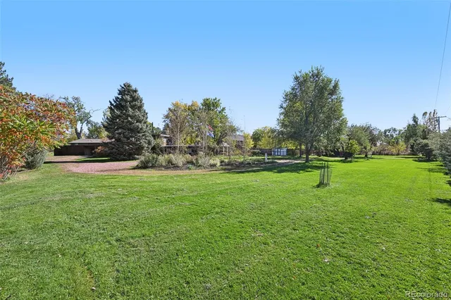 a view of a park with large trees