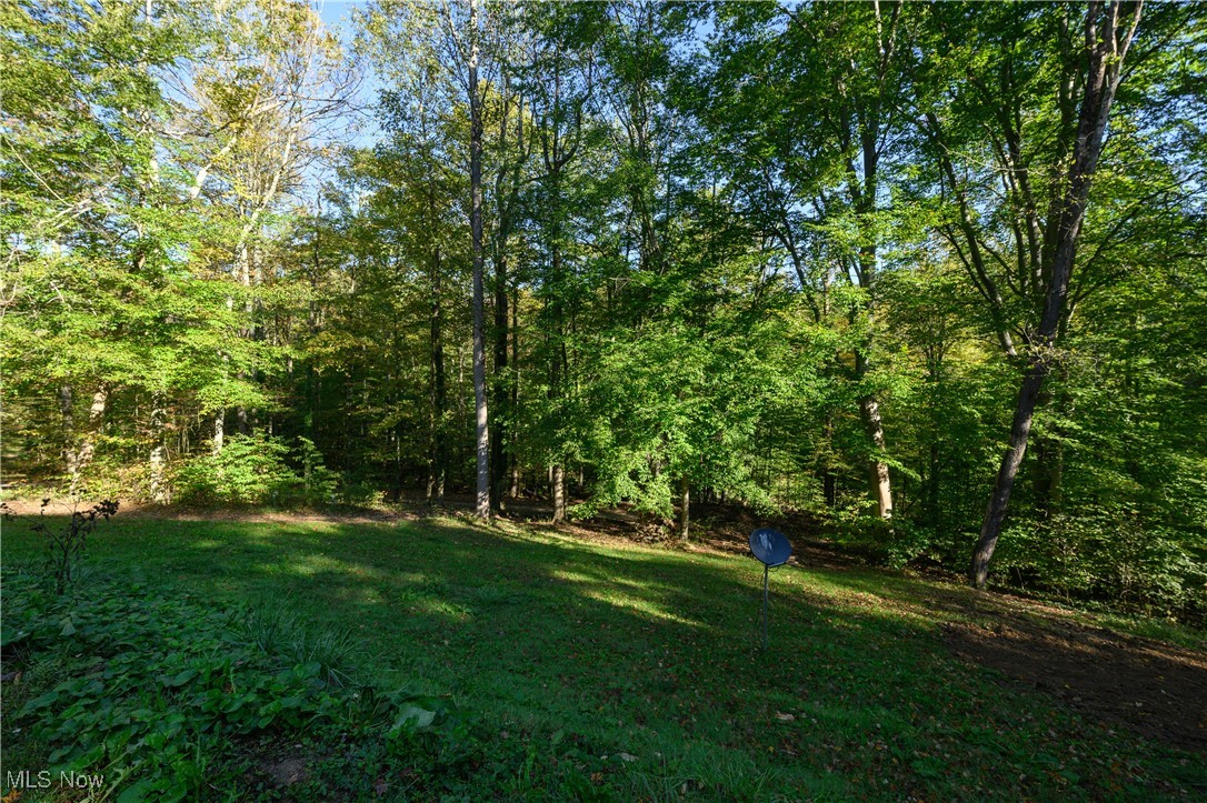 33201 Host Road Bowerston, OH 44695 - Photo 30 of 30 View of yard