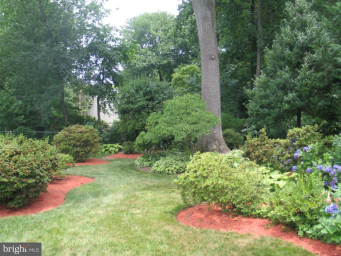 7107 Radnor Road Bethesda, MD 20817 - Photo 4 of 27 Exterior (Rear)