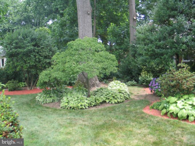 7107 Radnor Road Bethesda, MD 20817 - Photo 5 of 27 Exterior (Rear)