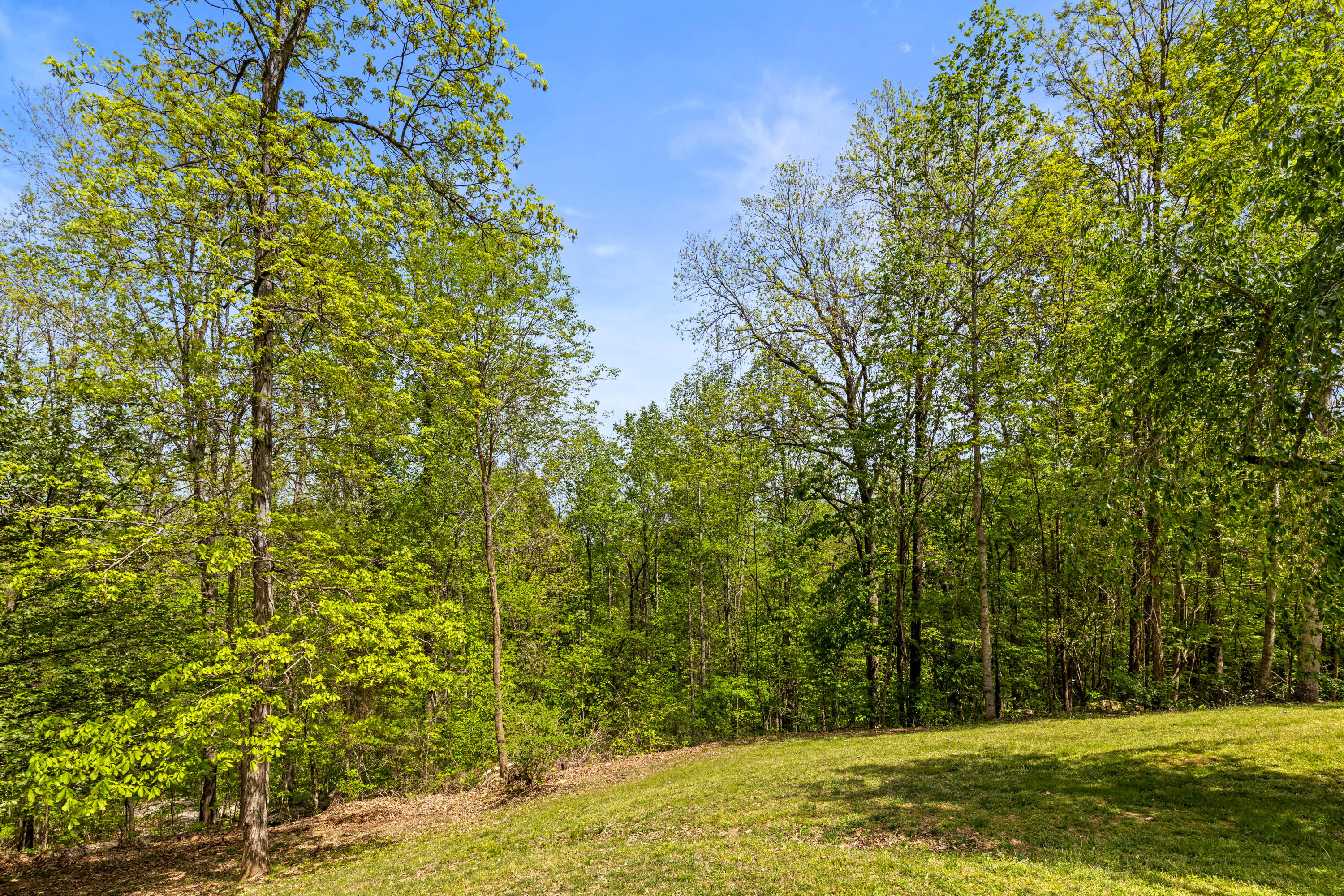 3850 Stagecoach Road Sewanee, TN 37375 - Photo 53 of 75 Stagecoach-14