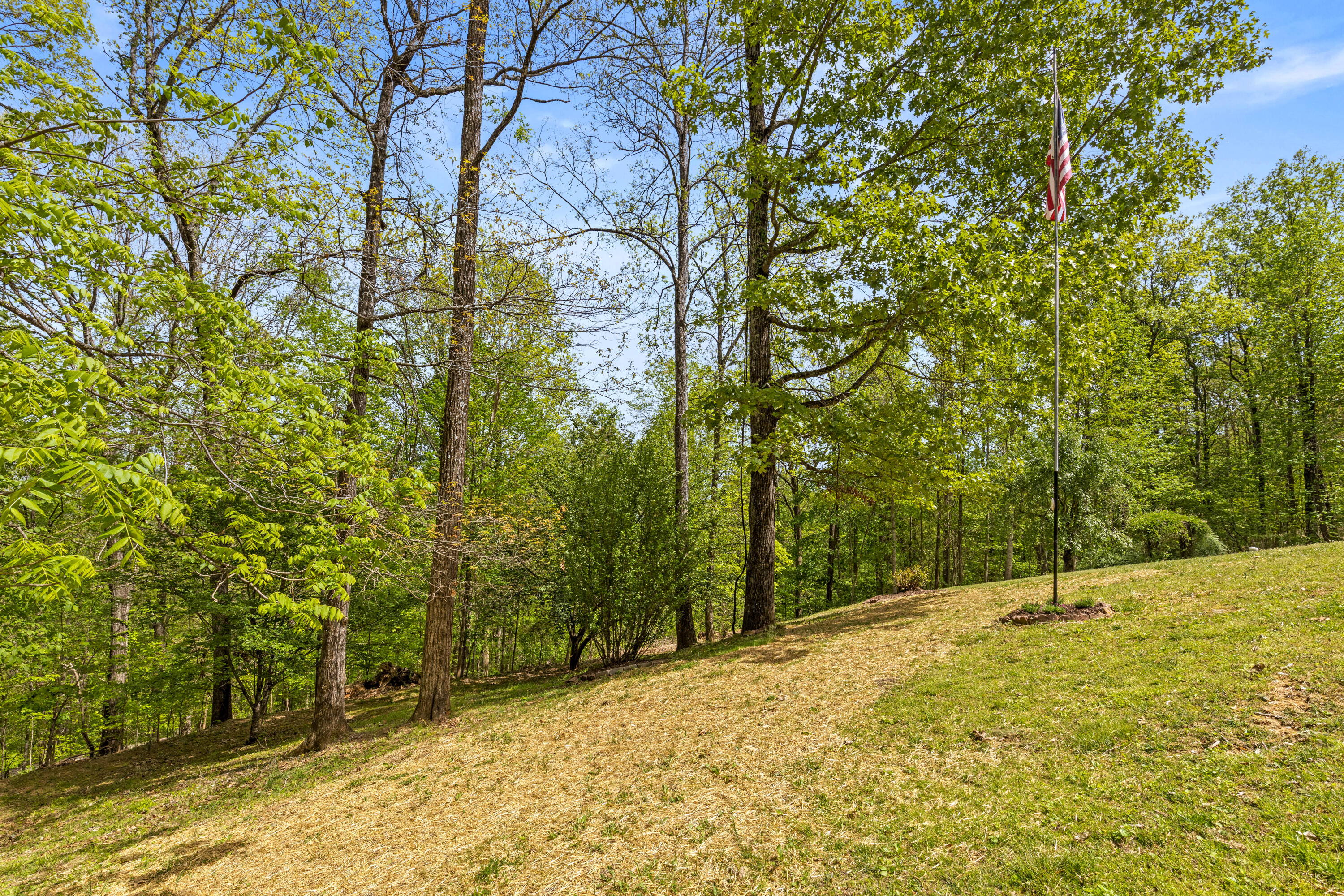 3850 Stagecoach Road Sewanee, TN 37375 - Photo 55 of 75 Stagecoach-18