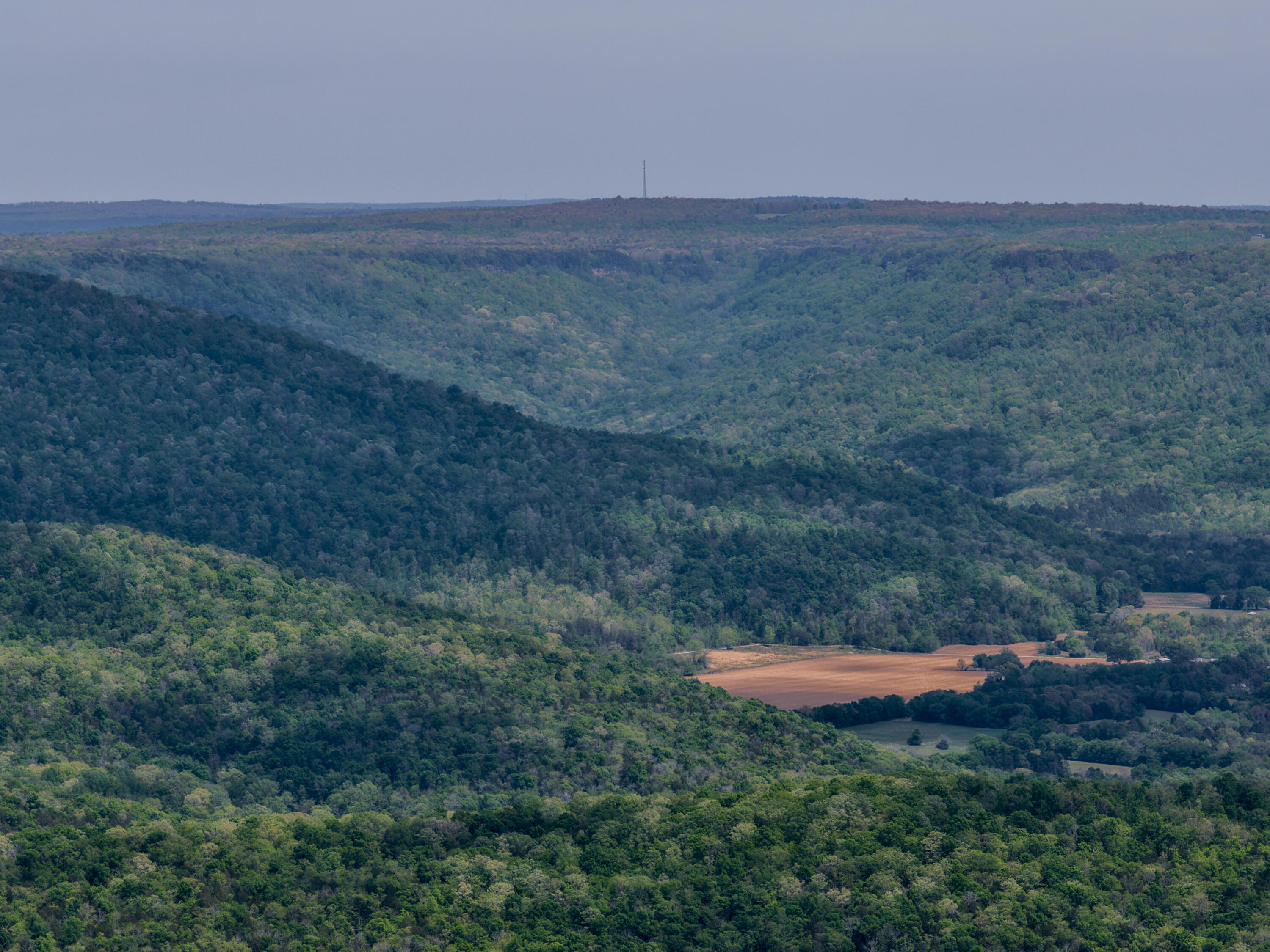 3850 Stagecoach Road Sewanee, TN 37375 - Photo 69 of 75 Stagecoach-35