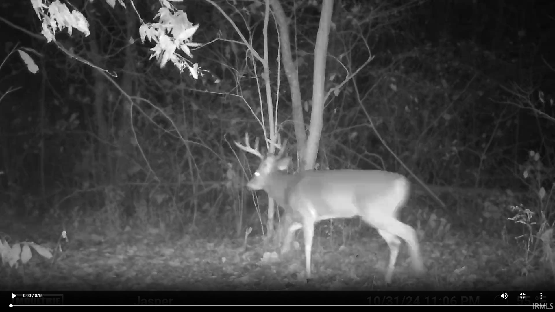 0 North Portersville Road Jasper, IN 47546 - Photo 20 of 23 Gallery Image 20