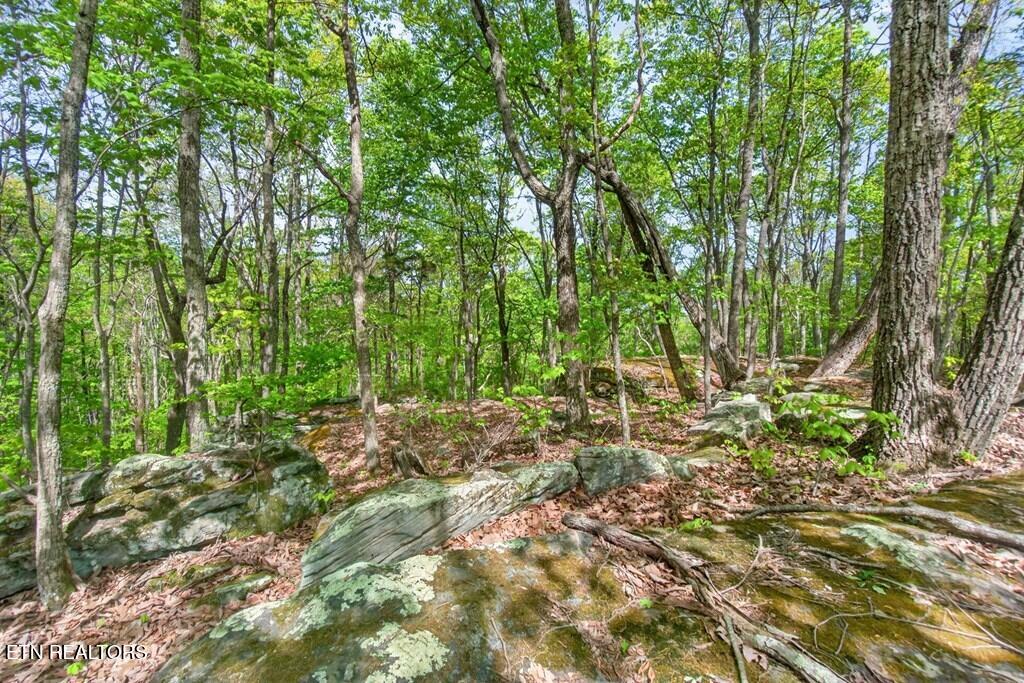751 West Bluff Road Pikeville, TN 37367 - Photo 14 of 19 243828_21