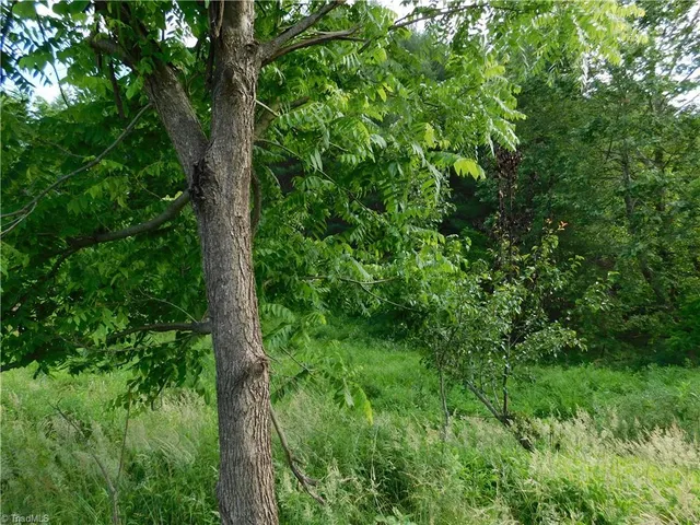 $14,000 | Tbd Lala Way, Piney Creek, NC 28663