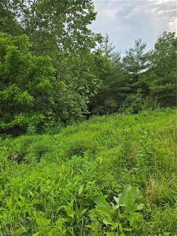 $14,000 | Tbd Lala Way, Piney Creek, NC 28663