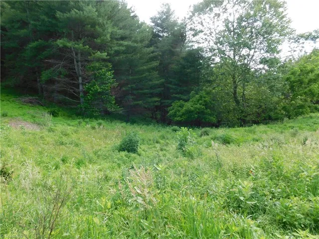 $14,000 | Tbd Lala Way, Piney Creek, NC 28663