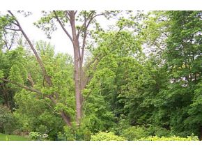 45 Hawthorne Road Binghamton, NY 13903 - Photo 8 of 10 Gallery Image 8