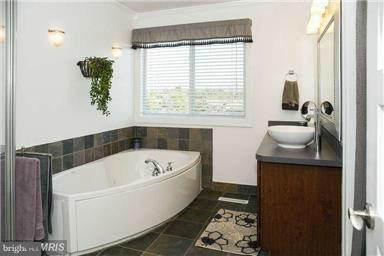 2665 Gun Barrel Road White Post, VA 22663 - Photo 23 of 30 Bath (Master)