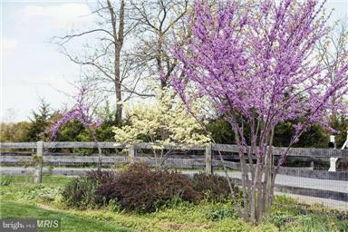 2665 Gun Barrel Road White Post, VA 22663 - Photo 4 of 30 Exterior (General)