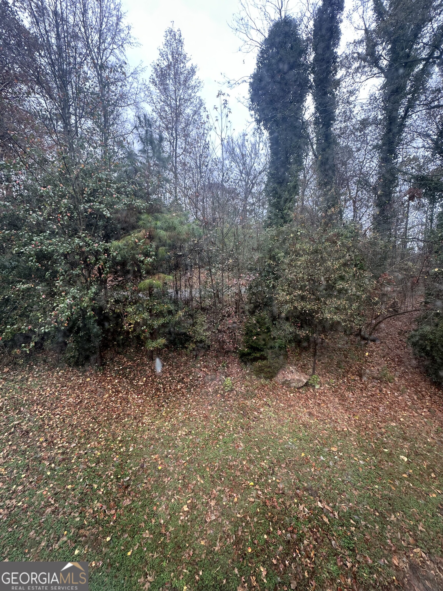 565 Patillo Road Stockbridge, GA 30281 - Photo 17 of 31 a view of room with trees