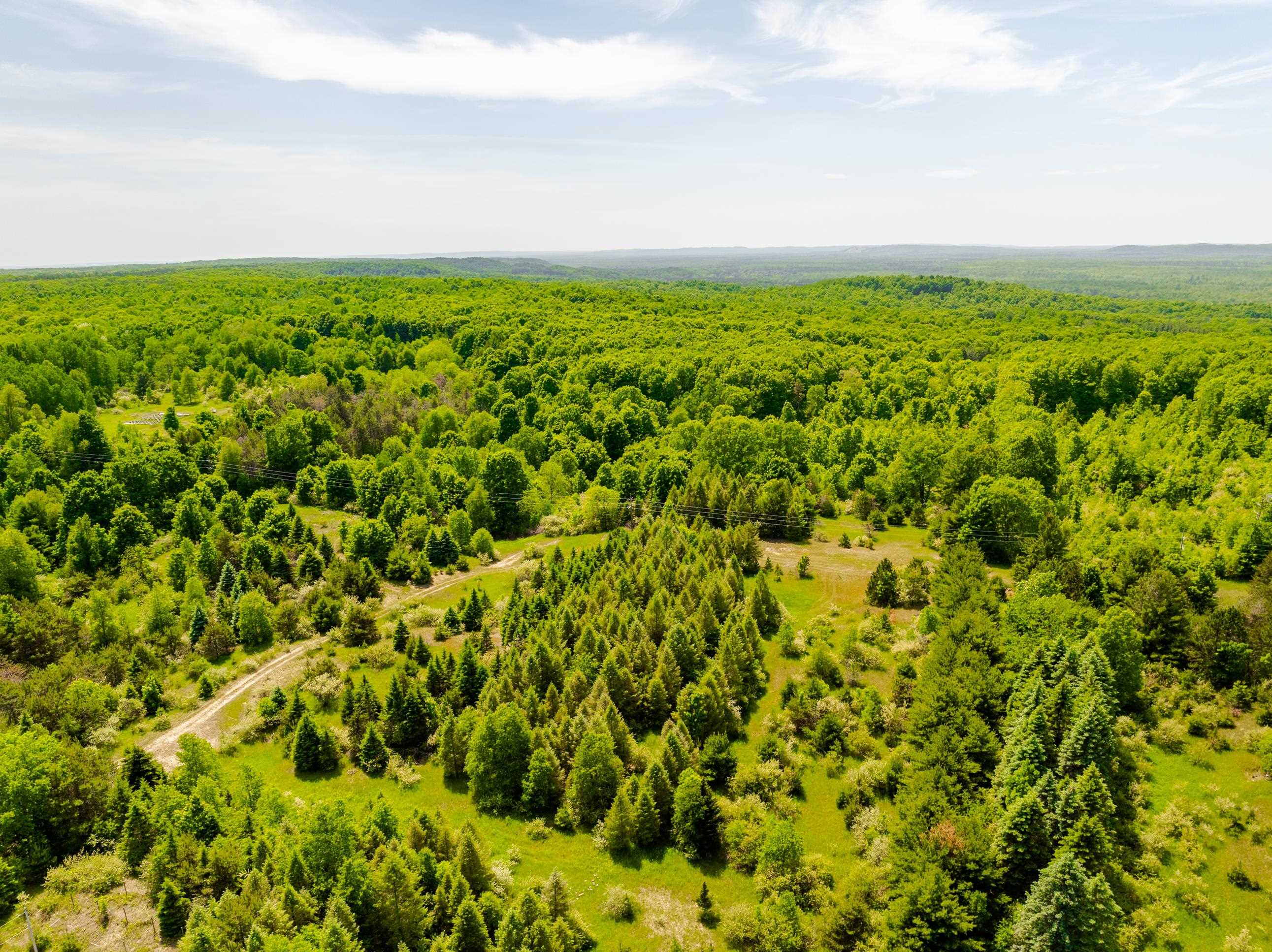 Tbd Traverse Road Thompsonville, MI 49683 - Photo 4 of 40