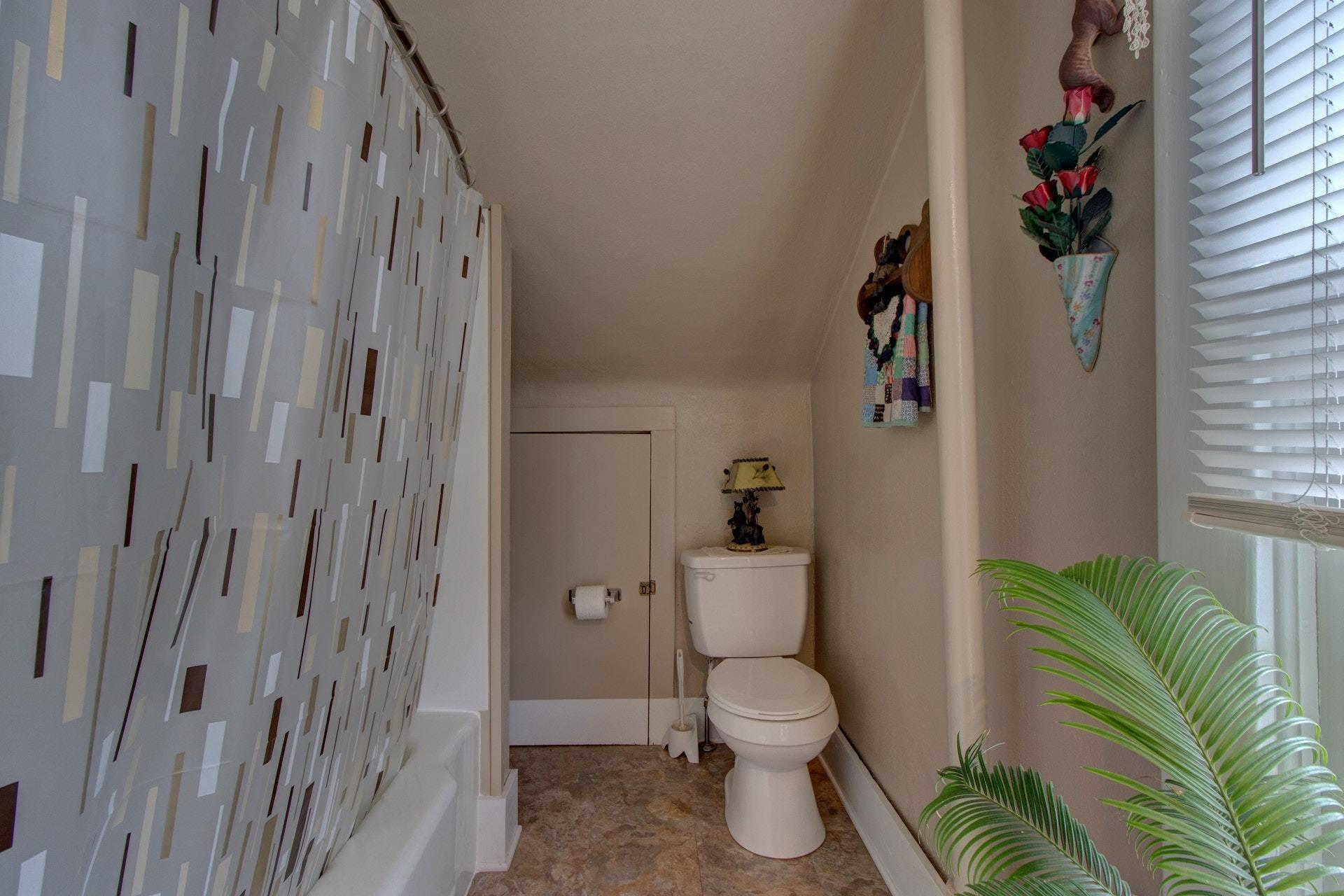296 Archway Road Blue Ridge, VA 24064 - Photo 18 of 28 a bathroom with a toilet and a shower curtain